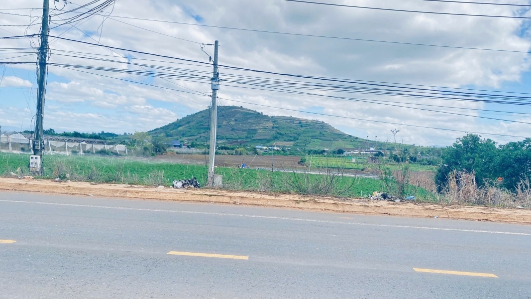 3 héc ta mặt tiền dt724, phú hội cũ, đức trọng, lâm đồng