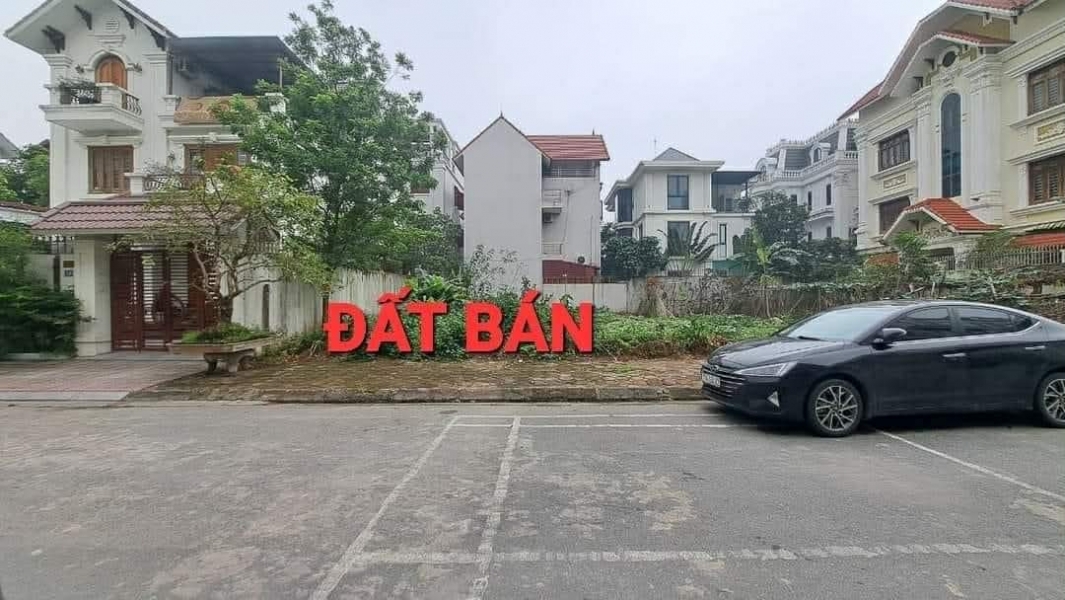 bán đất phân lô khu 31Ha Trâu Quỳ 250m mặt tiền 12.5m đường nhựa vỉa hè ôtô dừng đỗ