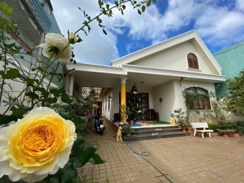 BÁN NHÀ và ĐẤT Trung Tâm Thành Phố Pleiku Gia Lai.