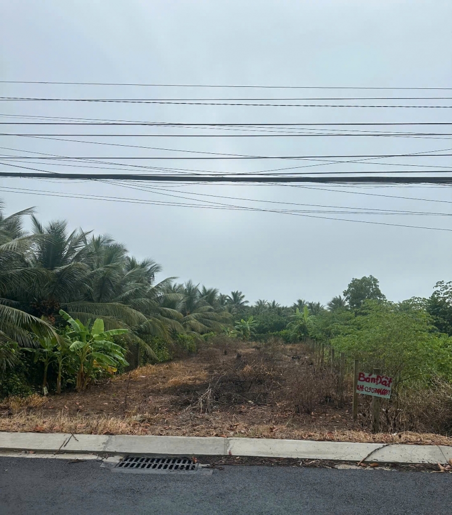 Chính Chủ Cần Bán Lô Đất 470m2 Có Vi trí đẹp Tại Xã Tân Mỹ Chánh - Tp.Mỹ Tho - Tiền Giang.LH: